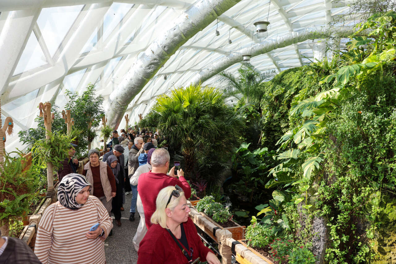 Konya’nın kelebek cenneti ziyaretçi rekoru kırdı 15